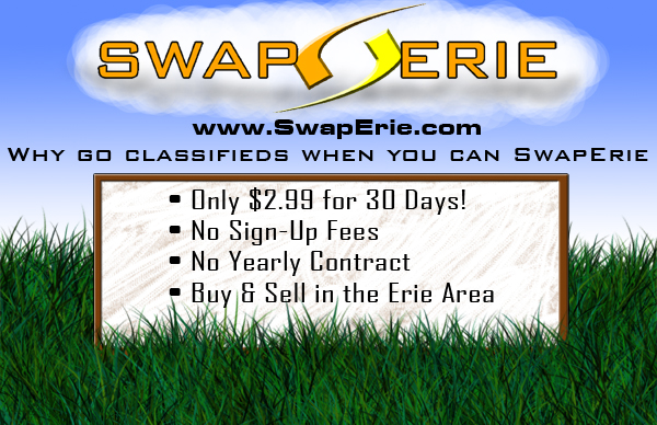 SwapErie Flyer